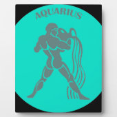 アクアリウス斑 フォトプラーク (正面)