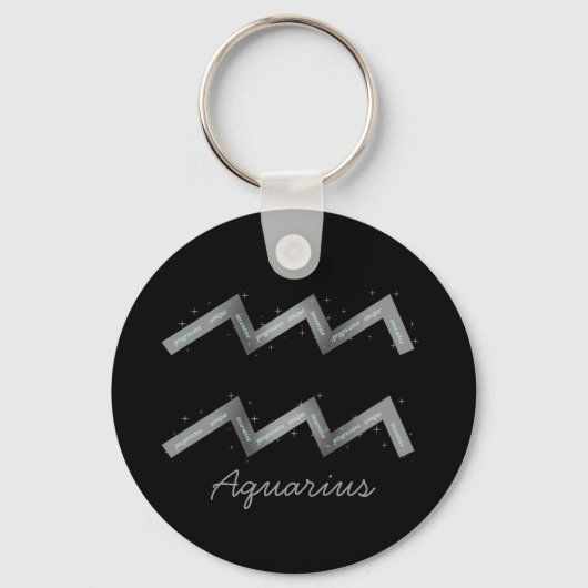 アクアリウス・キーチェーン キーホルダー (正面)