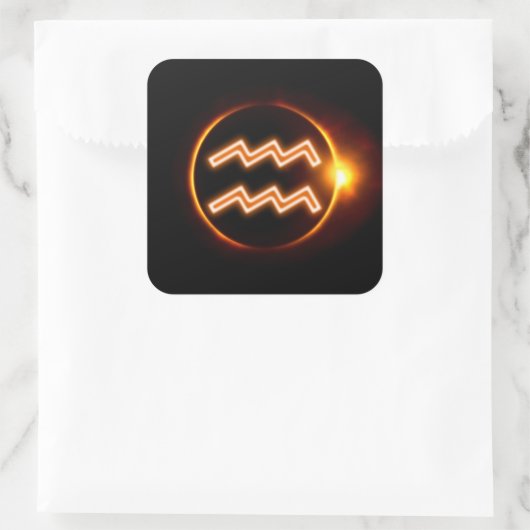 アクアリウス スクエアシール (バッグ)