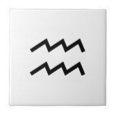 アクアリウス タイル (正面)