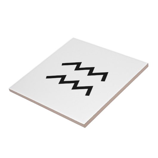 アクアリウス タイル (側面)