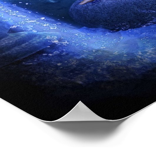 アクアリウス ポスター (角)