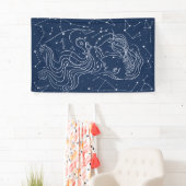 アクアリウス 横断幕 (インサイチュ)