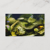 アクアリウムのプロフィールカード 名刺 (裏面)