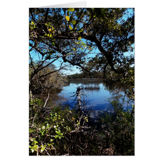 アクアリウムのルーズベルトの道 (正面)