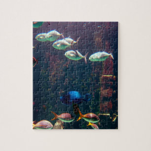 アクアリウムの魚 ジグソーパズル