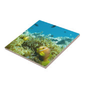 アクアリウムの魚 タイル (側面)