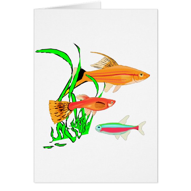 アクアリウム (正面)