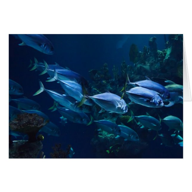 アクアリウム (正面横)