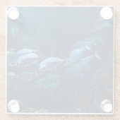 アクアリウム ガラスコースター (裏面)