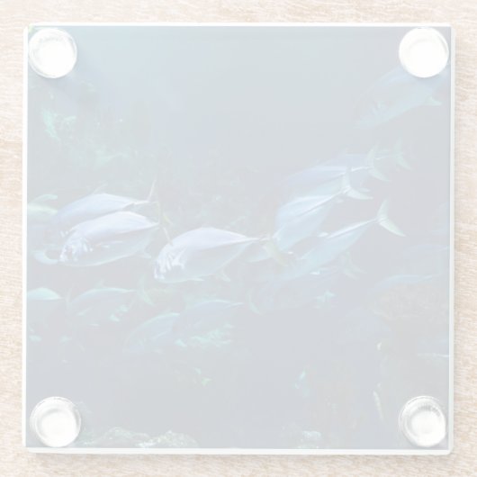 アクアリウム ガラスコースター (裏面)