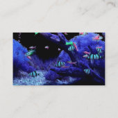 アクアリウム 名刺 (裏面)