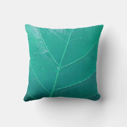 アクアリーフ クッション (裏面)