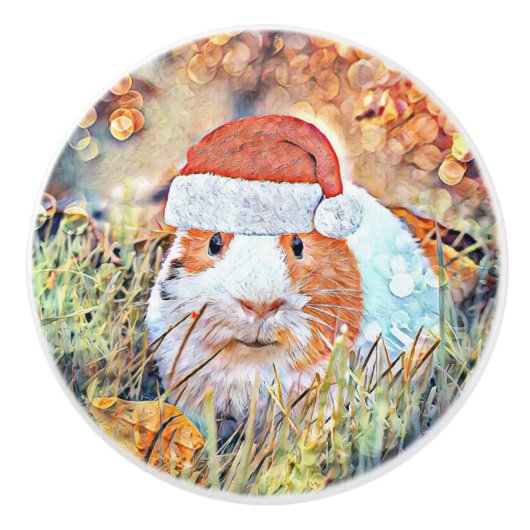 アクアレクリスマスギニア セラミックノブ (正面)
