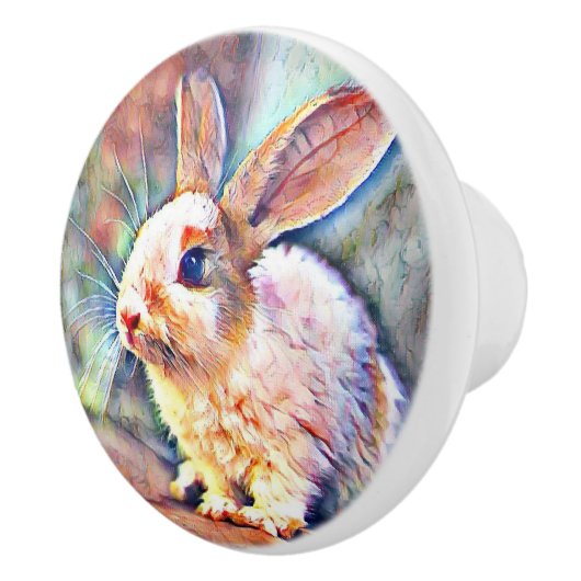 アクアレバニー セラミックノブ (右)