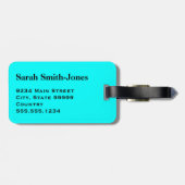 アクア無地のブルー ラゲッジタグ (裏面横)