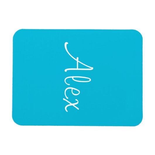 アクア魅力的 マグネット (横)