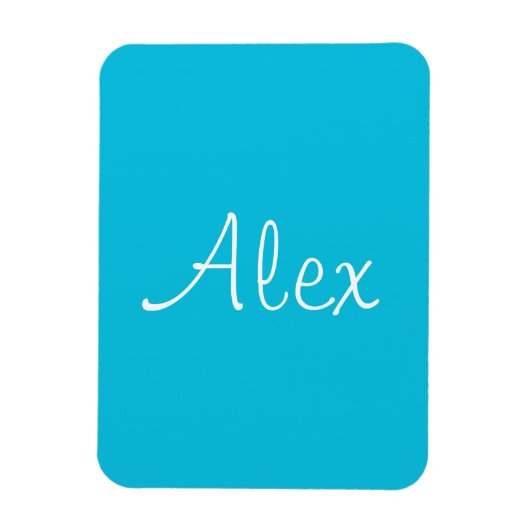 アクア魅力的 マグネット (縦)