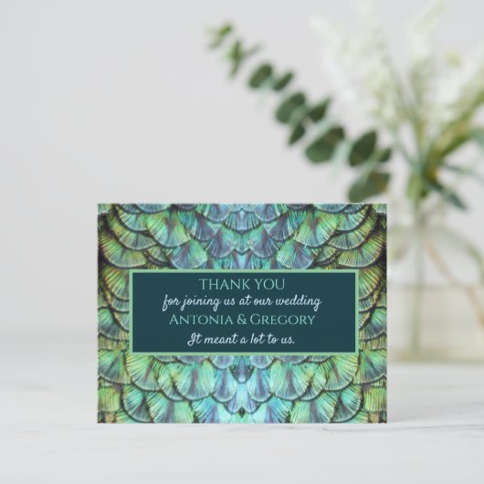 アクア鮮やかピーコッ結婚クの感謝はがき ポストカード (スタンド正面)