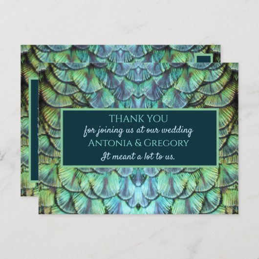アクア鮮やかピーコッ結婚クの感謝はがき ポストカード (正面/裏面)