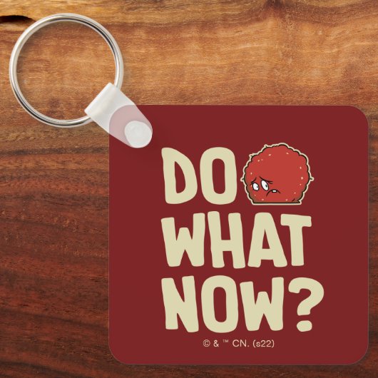 アクア10代のハンガーフォースMeatwad "Do What Now?" キーホルダー (正面)