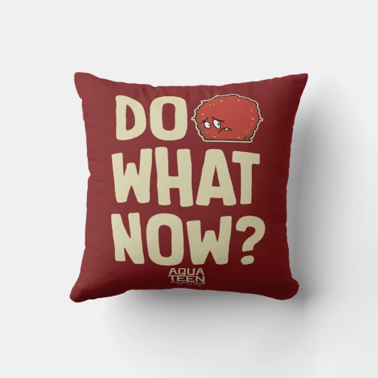 アクア10代のハンガーフォースMeatwad "Do What Now?" クッション (裏面)