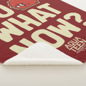 アクア10代のハンガーフォースMeatwad "Do What Now?" シェルパブランケット (3/4)