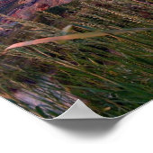 アクィナ・サンセットと灯台ポスター ポスター (角)