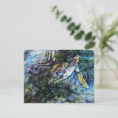 アクイオス ポストカード (スタンド正面)