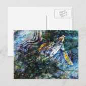 アクイオス ポストカード (正面/裏面)