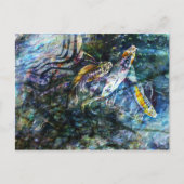 アクイオス ポストカード (正面)