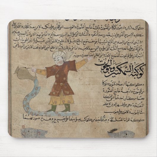 アクエリアスおよび魚類 マウスパッド (正面)