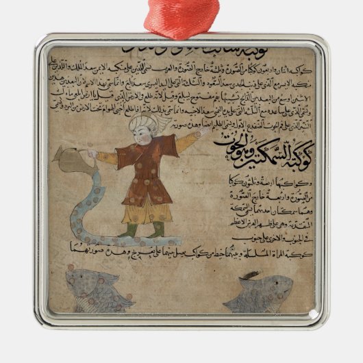 アクエリアスおよび魚類 メタルオーナメント (正面)