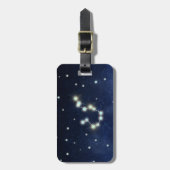 アクエリアスの星座|の名前をカスタムする及び住所 ラゲッジタグ (正面縦)