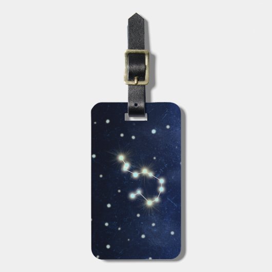 アクエリアスの星座|の名前をカスタムする及び住所 ラゲッジタグ (正面縦)