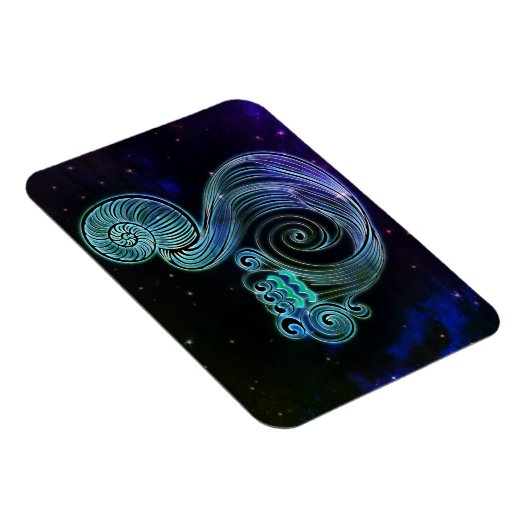 アクエリアスウォーターキャリア〔占星術の〕十二宮図磁石 マグネット (右側)