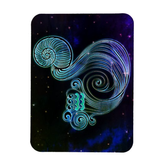 アクエリアスウォーターキャリア〔占星術の〕十二宮図磁石 マグネット (縦)