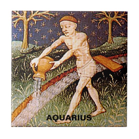 アクエリアスウォーターベアラ〔占星術の〕十二宮図サイン誕生日パーティー タイル (正面)