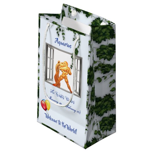 アクエリアスベビー（1月20日～2月18日）水受け スモールペーパーバッグ (正面アングル)