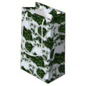 アクエリアスベビー（1月20日～2月18日）水受け スモールペーパーバッグ (裏面アングル)