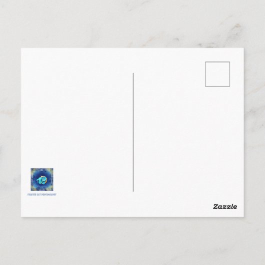 アクエリアスポストカード ポストカード (裏面)