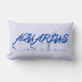 アクエリアス反射 ランバークッション (正面)