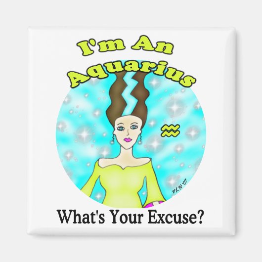 アクエリアス弁解マグネット マグネット (正面)