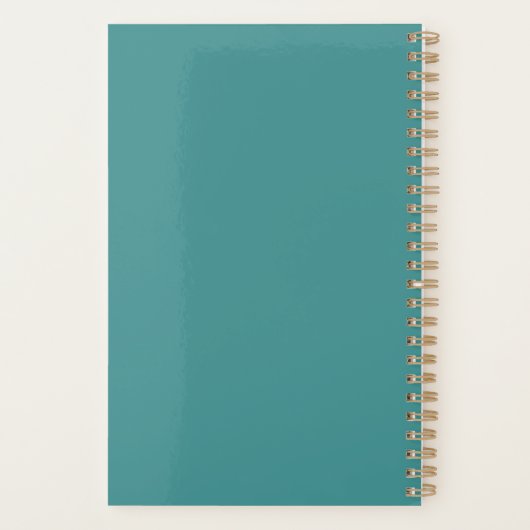 アクエリアス星占い プランナー手帳 (裏面)