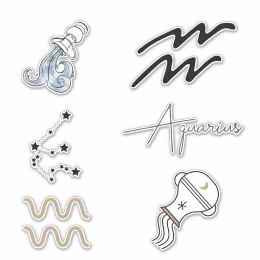 アクエリアス星占い〔占星術の〕十二宮図誕生日の星 シール (正面)
