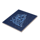 アクエリアス星座と星座と太陽のサイン タイル (側面)