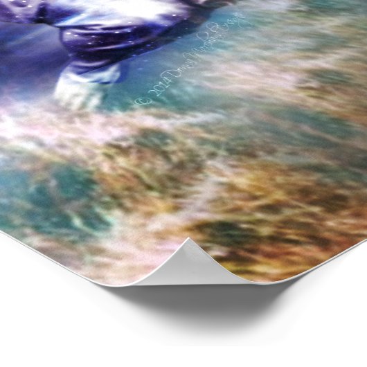 アクエリアス特性 ポスター (角)