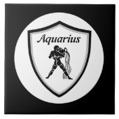 アクエリアス記号 タイル (正面)