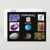 アクエリアス2月誕生月はがき ポストカード (正面/裏面)