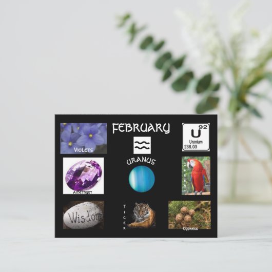 アクエリアス2月誕生月はがき ポストカード (スタンド正面)